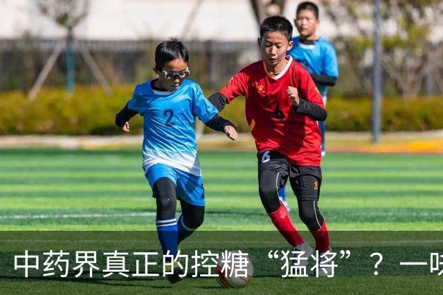 中药界真正的控糖“猛将”？一味药，生津又健脾，稳住血糖波动