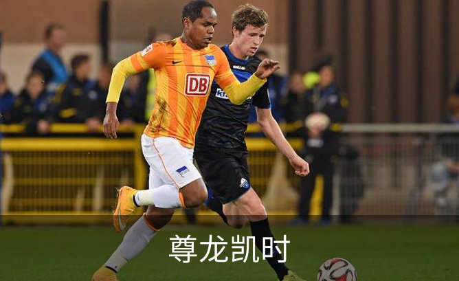 了解尊龙凯时