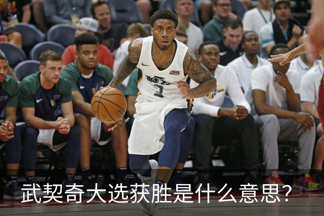 武契奇大选获胜是什么意思？